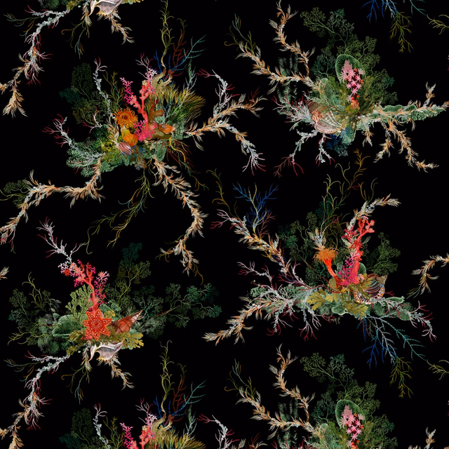 Seaweed And Shell Wallpaper Black fabric