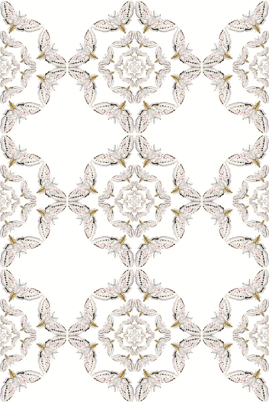 White Moth Circle Wallpaper Original fabric