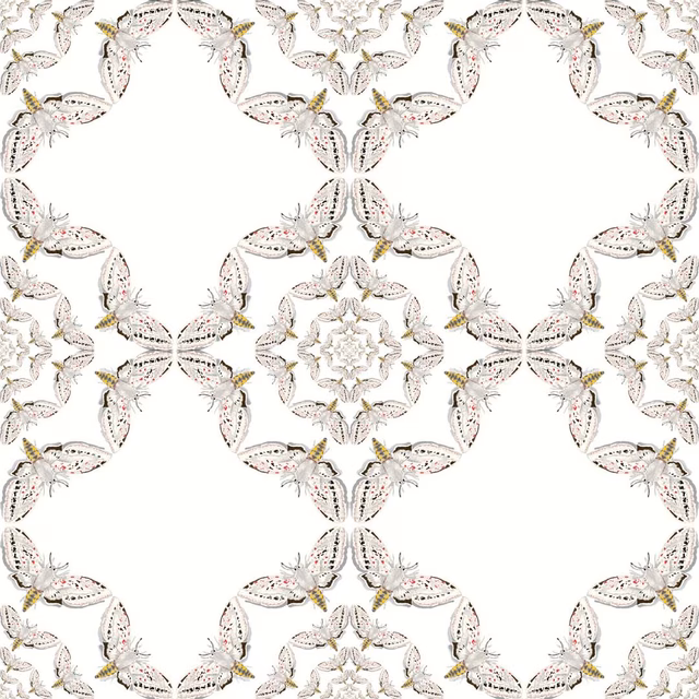 White Moth Circle Wallpaper Original fabric