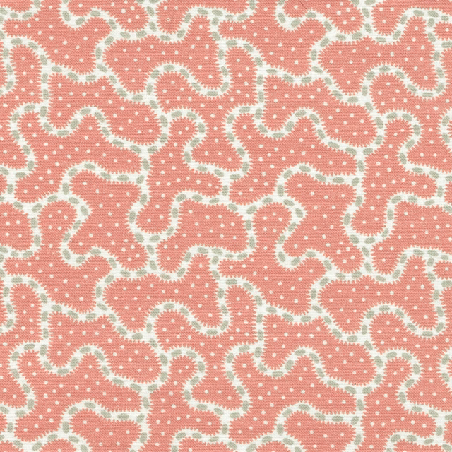 Coral pink abstract print with creamy winding outlines and tiny dotted texture