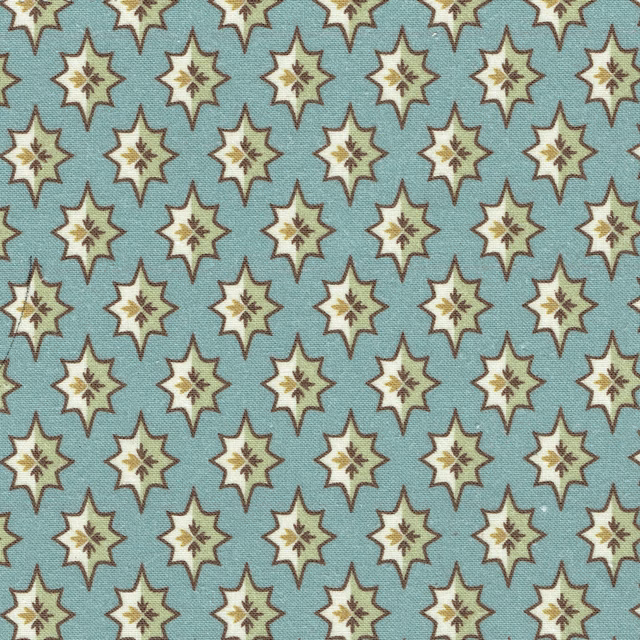 Aqua blue printed fabric with cream star motifs and brown outlines