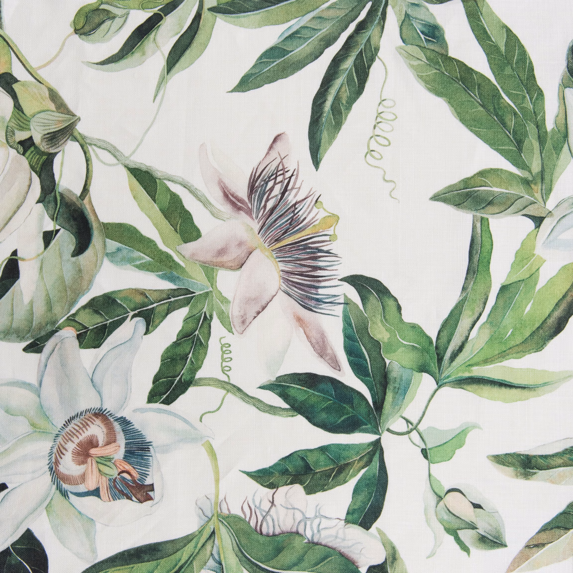 Botanical fabric swatch with green leaves and pale passion flowers on a light ground