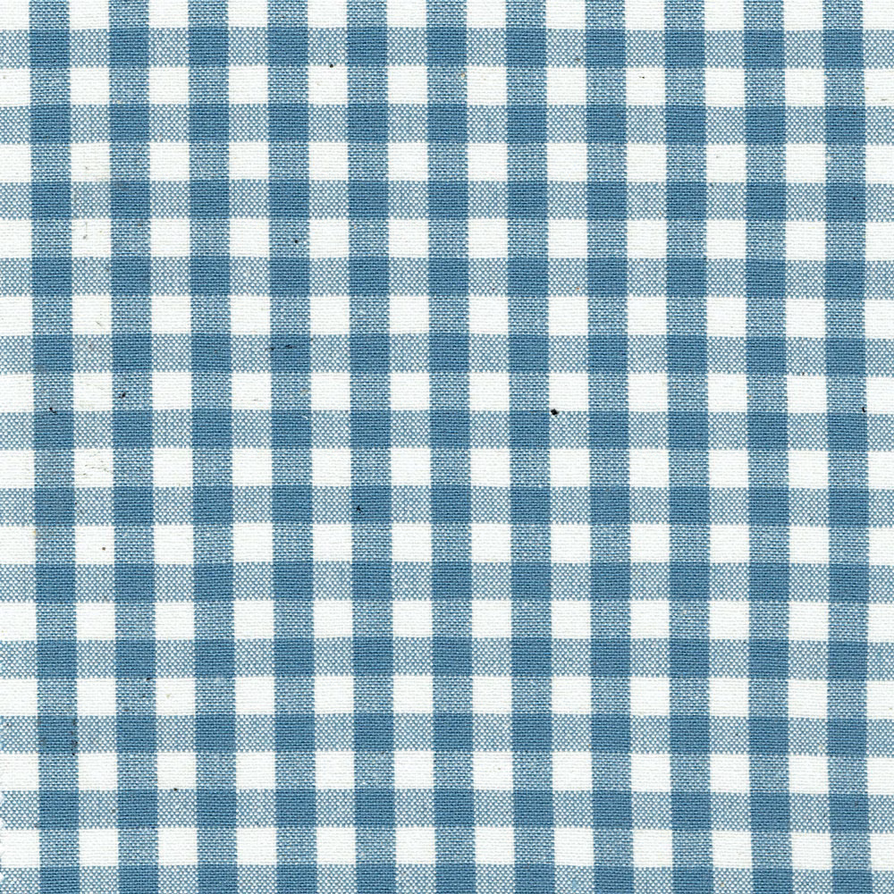 Small cadet blue and white woven check fabric with a crisp texture