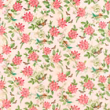 Blush velvet with coral flowers, green leaves, birds and butterflies