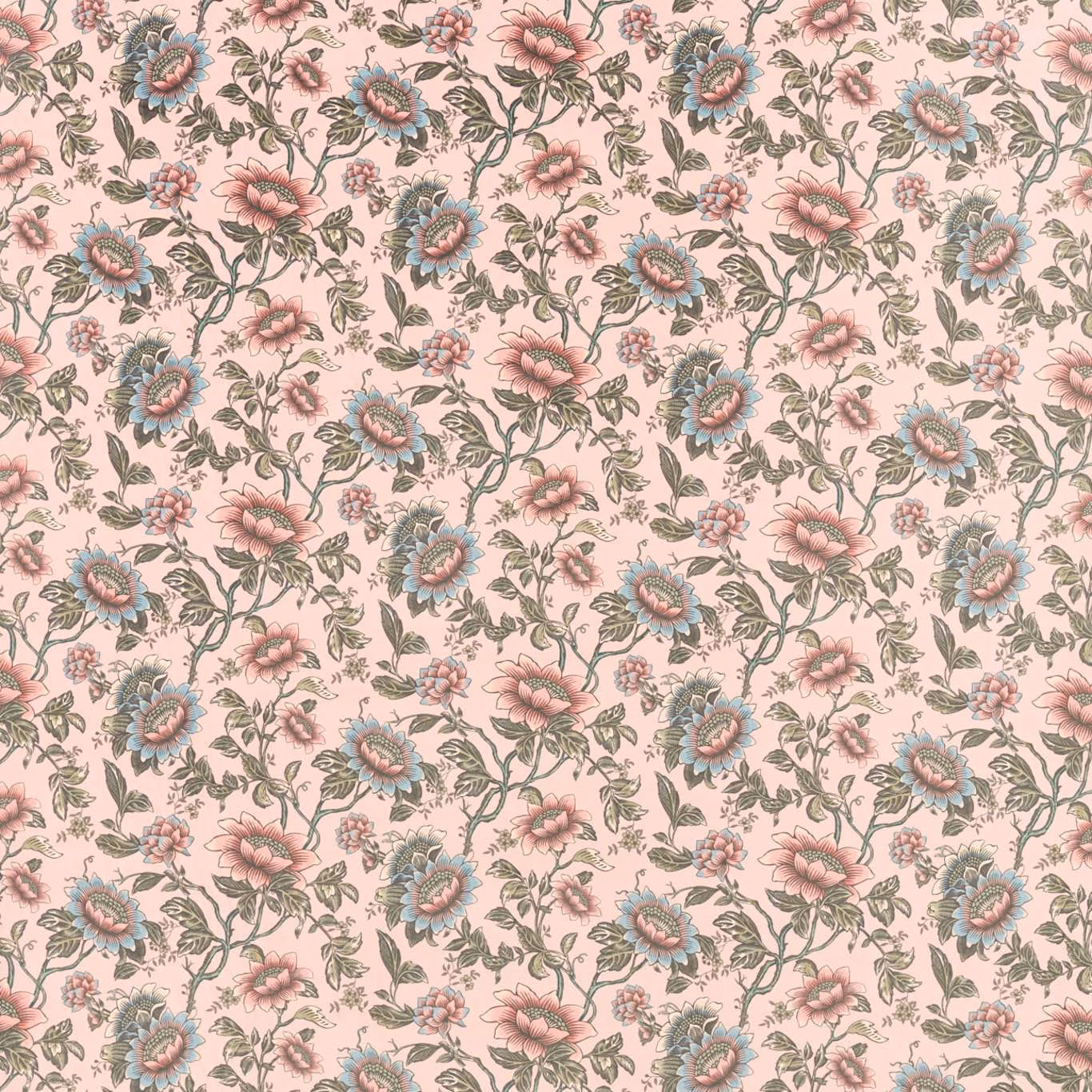 Blush velvet with pink flowers, blue-green blooms and trailing grey-green foliage.