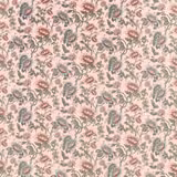 Blush velvet with pink flowers, blue-green blooms and trailing grey-green foliage.