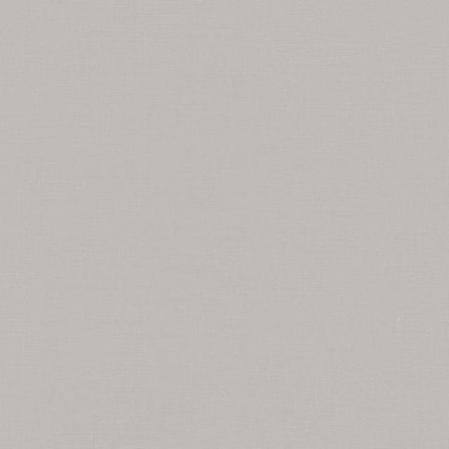 Pale ghost-grey plain fabric with a smooth, fine woven texture