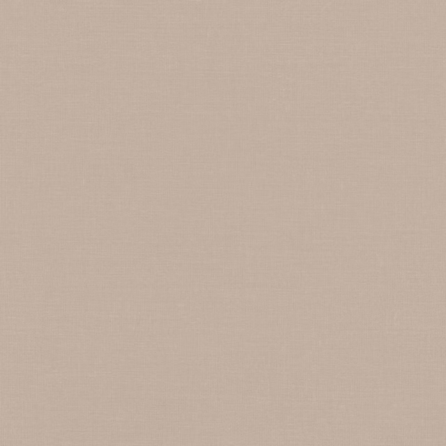 Solid soft shell-beige fabric swatch with a fine, even plain weave