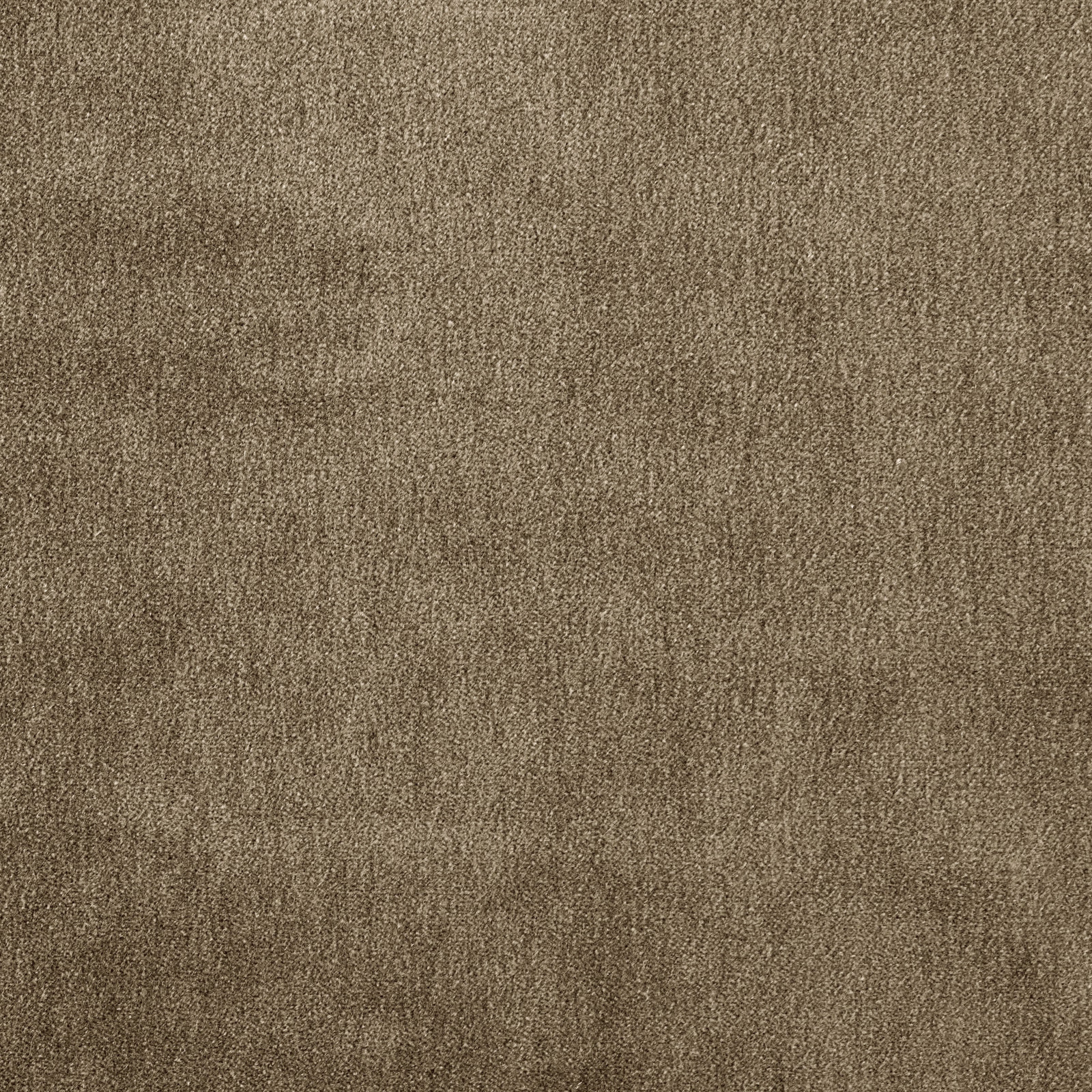 Close-up of muted lichen olive mohair fabric with a soft velvety texture