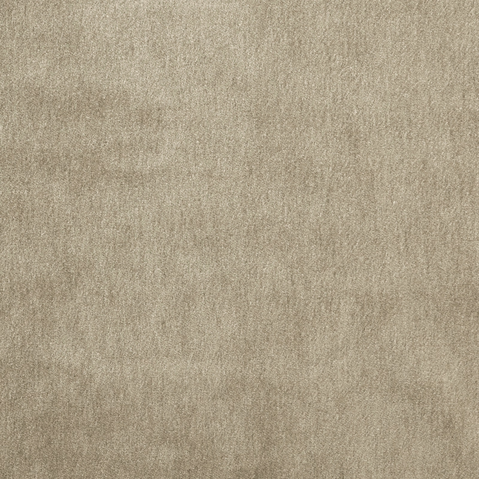 Soft taupe plain mohair-blend upholstery fabric with a subtle velvety sheen