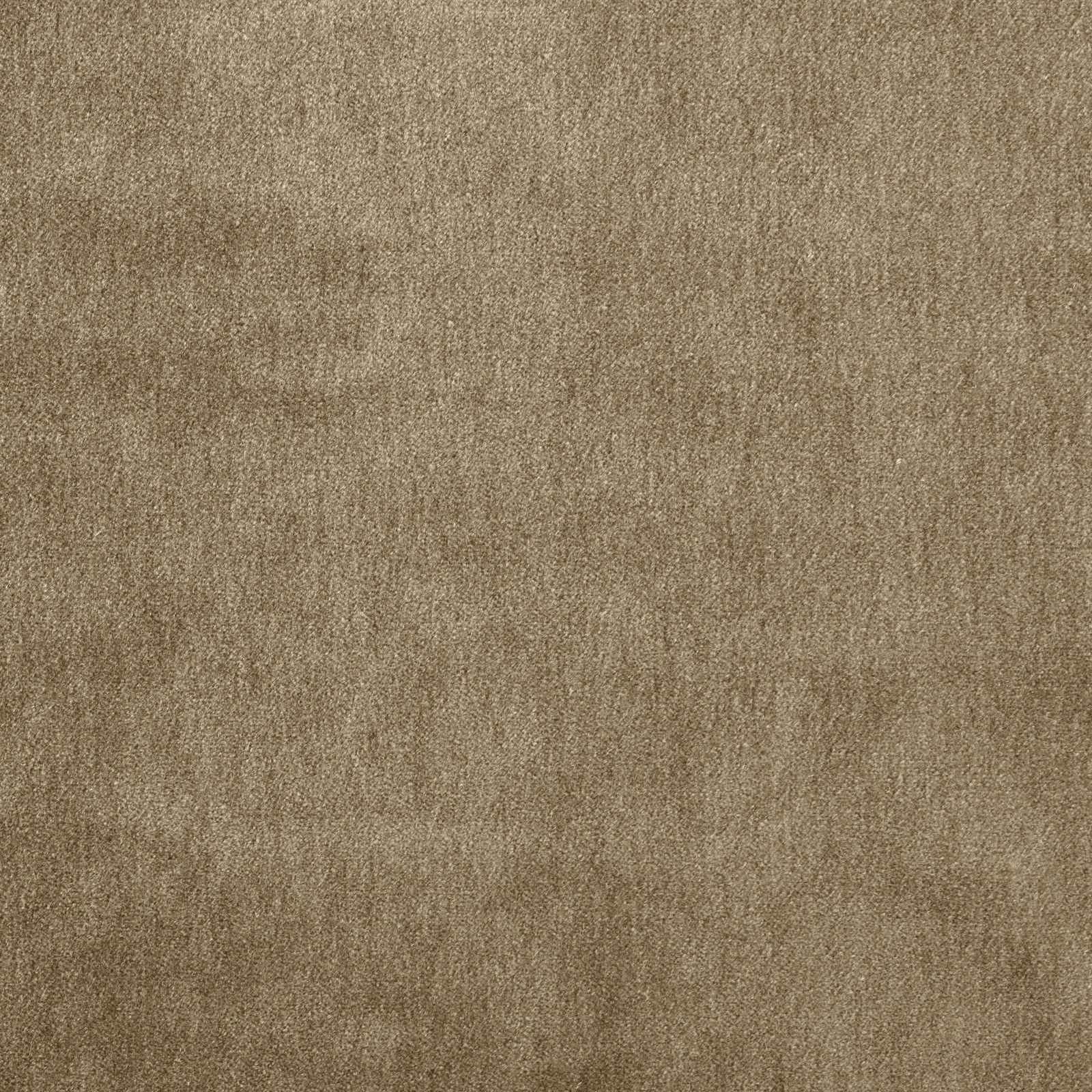 Soft papyrus beige mohair plain weave fabric with subtle plush nap