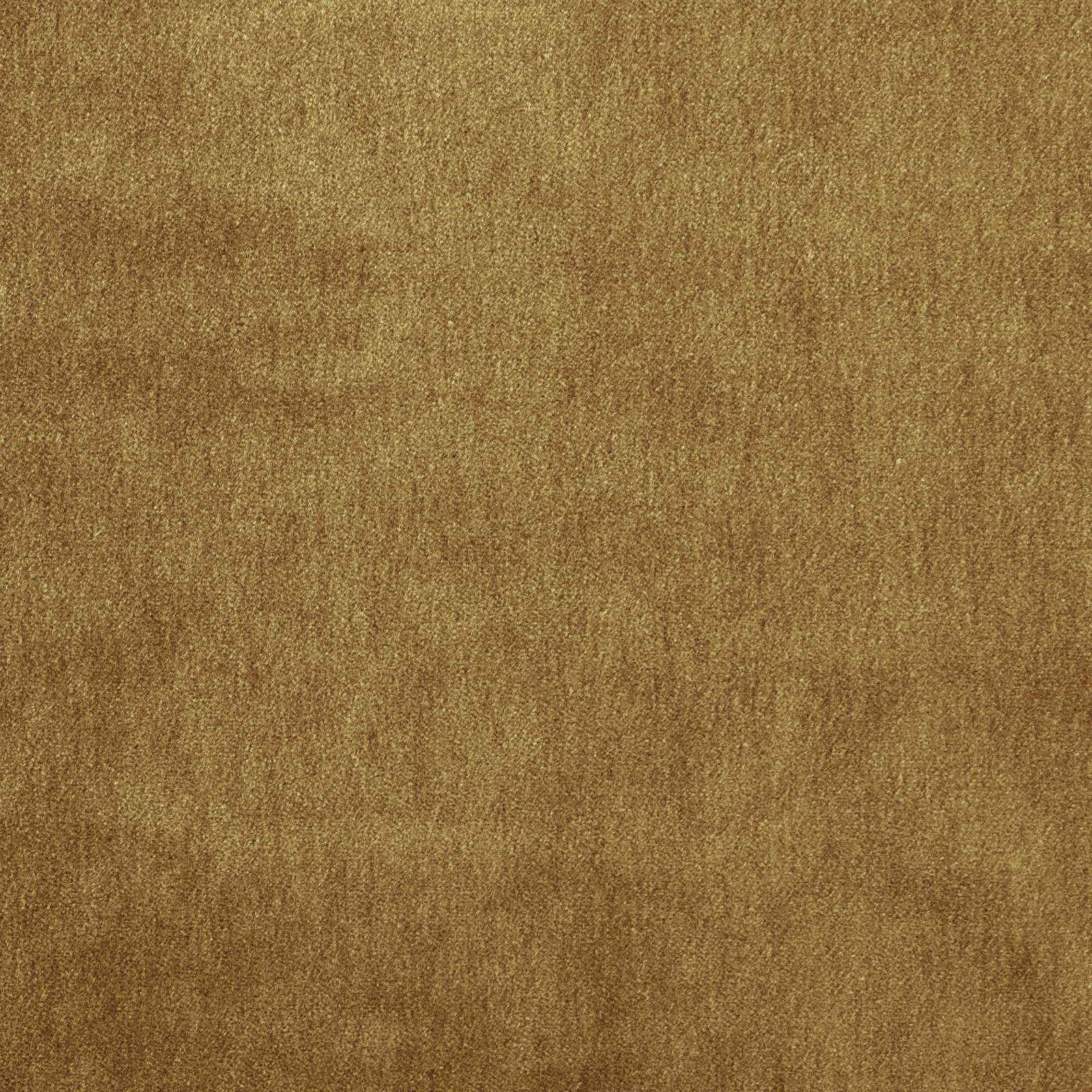 Warm saffron-gold plain mohair upholstery fabric with soft brushed texture