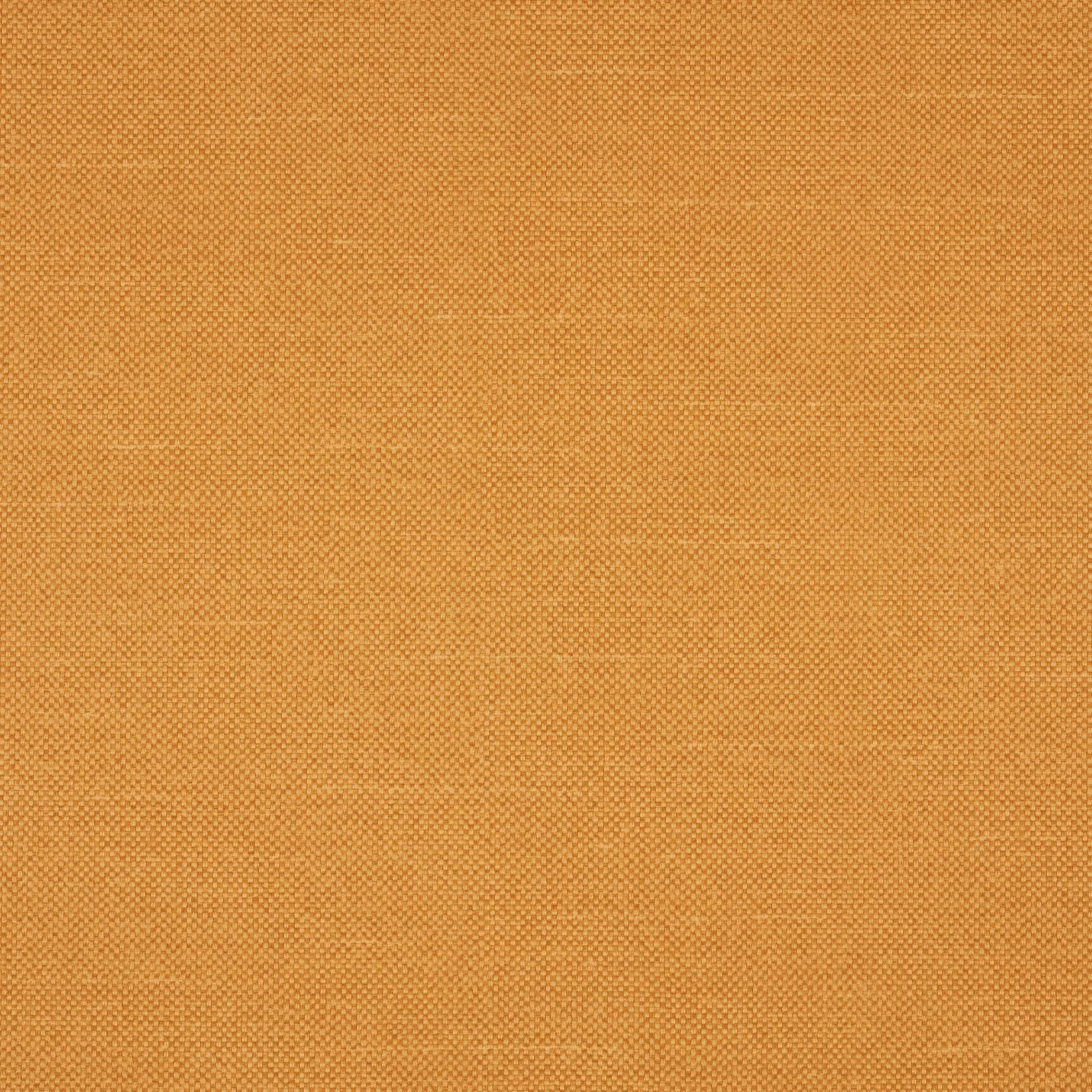 Warm ochre-gold Checkers fabric with a fine, close-set miniature check weave