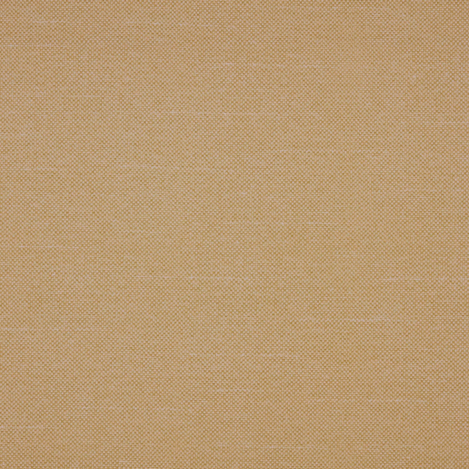 Warm ochre-tan Checkers Zest showing a tiny, softly textured woven check