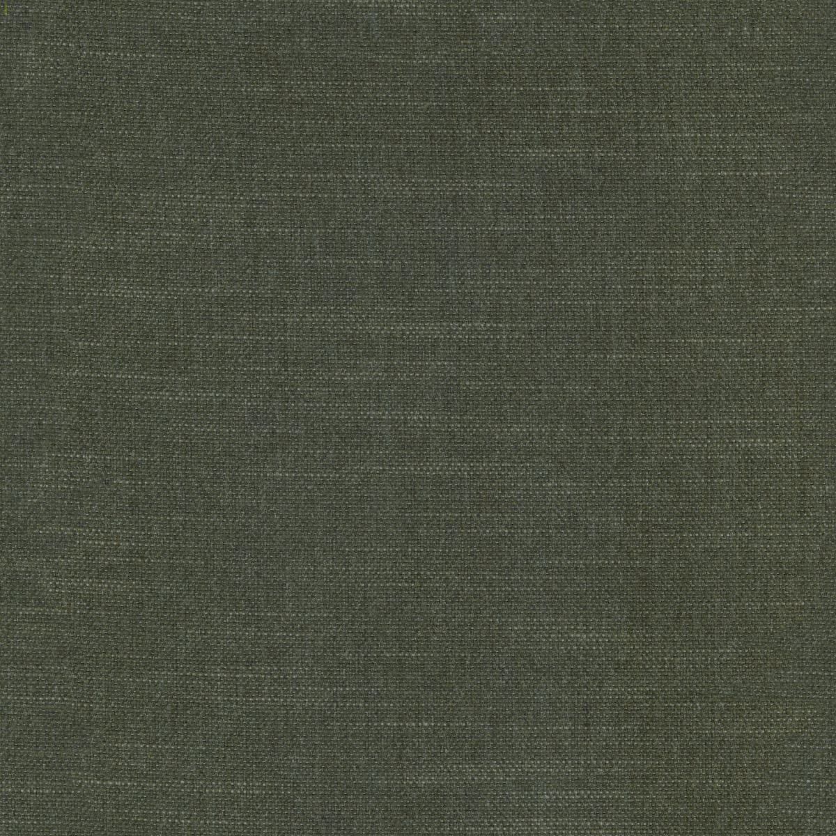 Muted dark sage-green plain weave with fine crosshatched texture