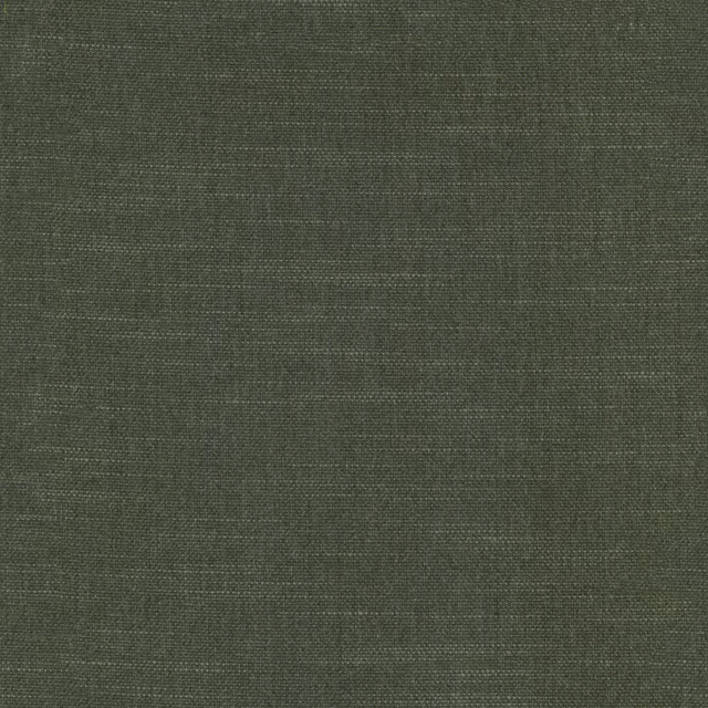 Muted dark sage-green plain weave with fine crosshatched texture