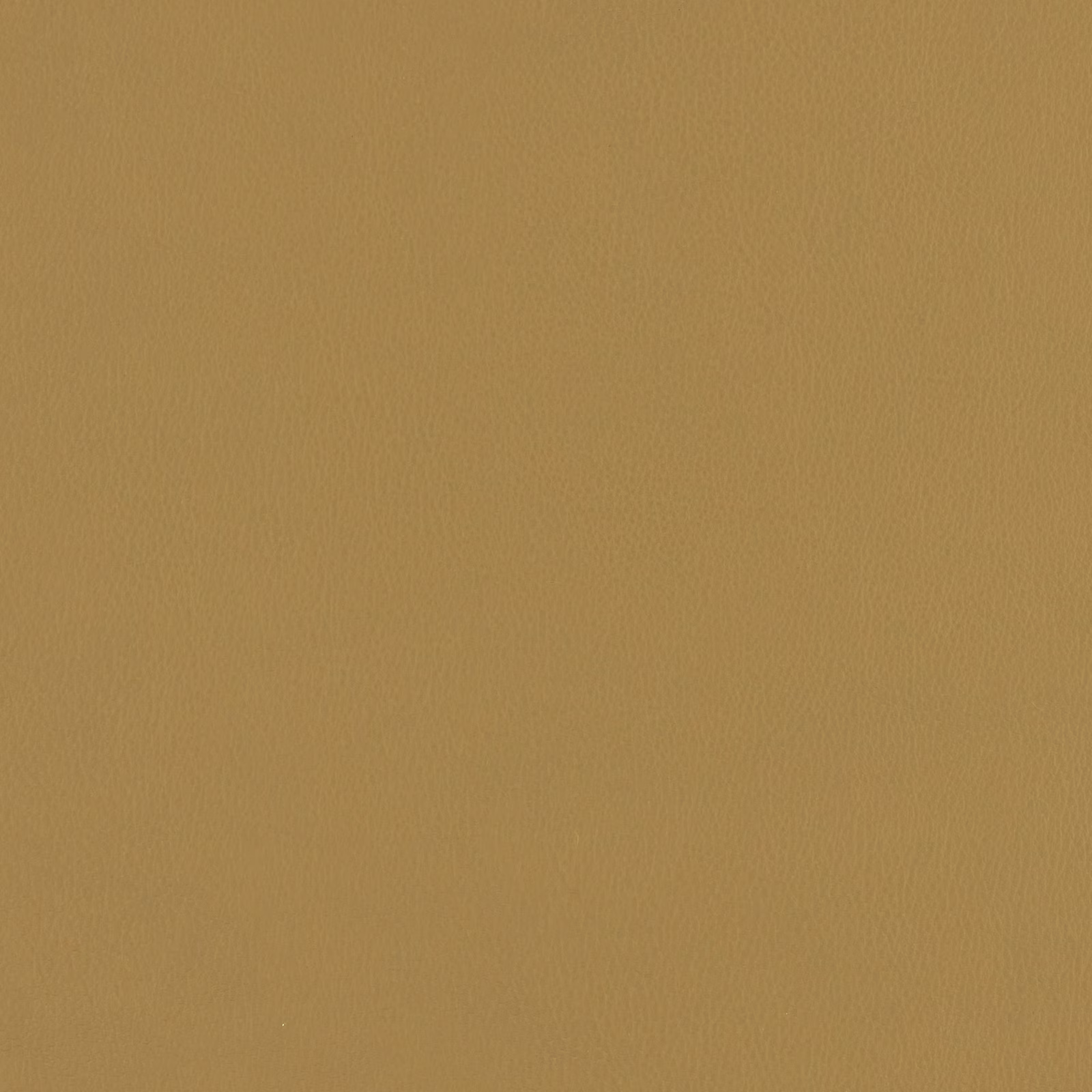 Muted Dijon mustard fabric with a fine, softly rippled plain weave