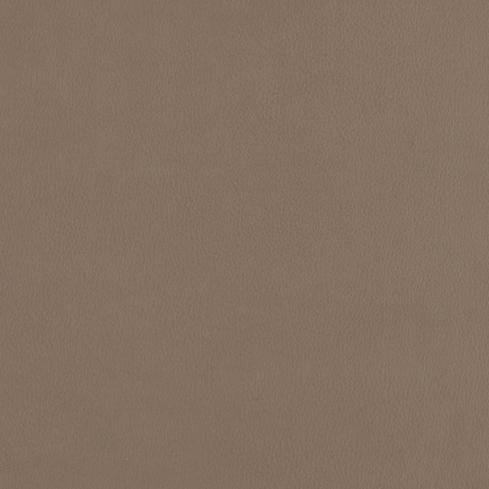 Muted mushroom-taupe fabric with a fine, softly pebbled woven surface