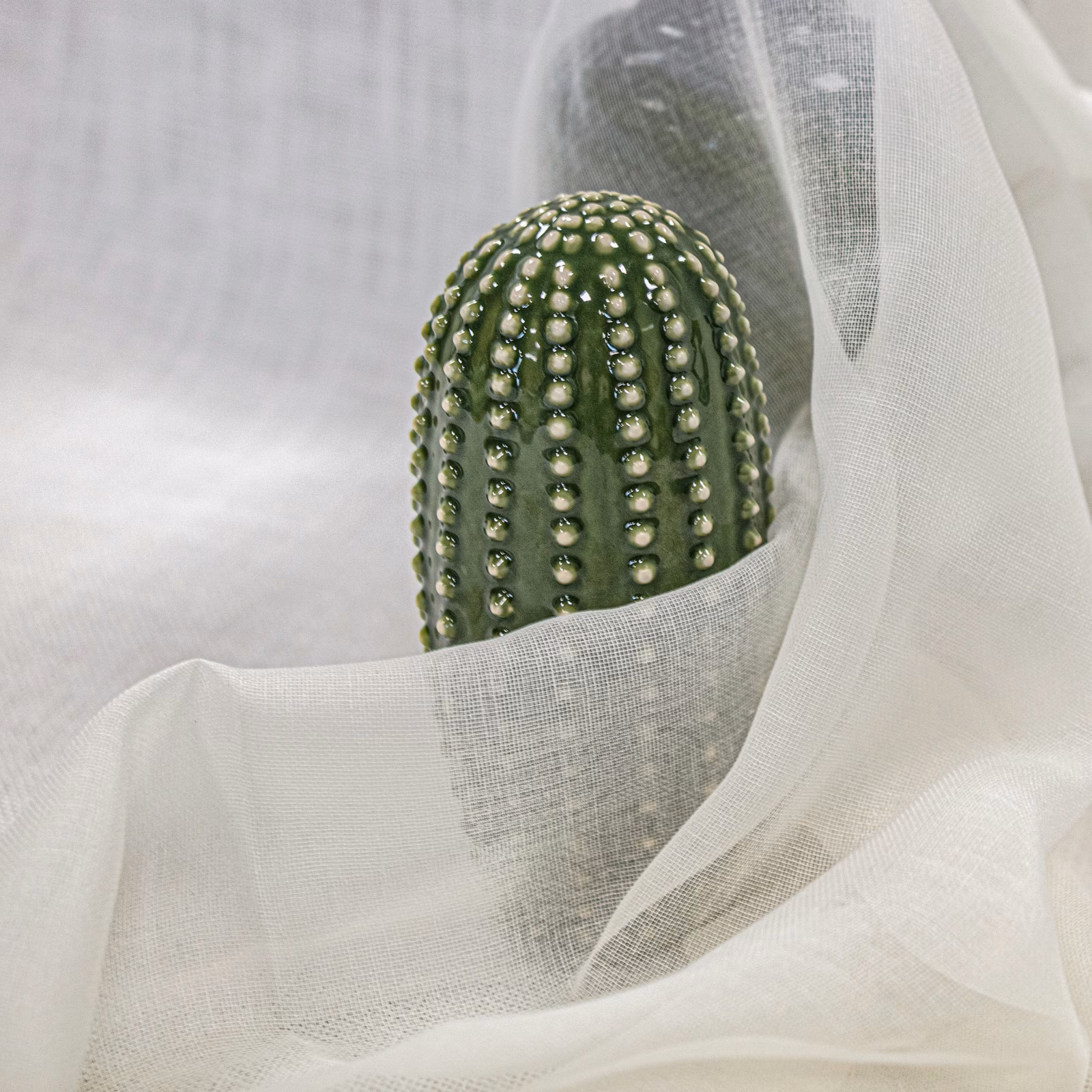 Translucent ivory open-weave cloth draped around a green beaded cactus