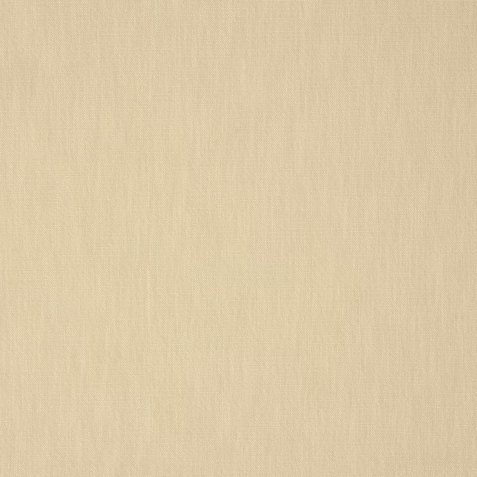 Warm pale beige plain weave with subtle vertical slubs and tonal shading