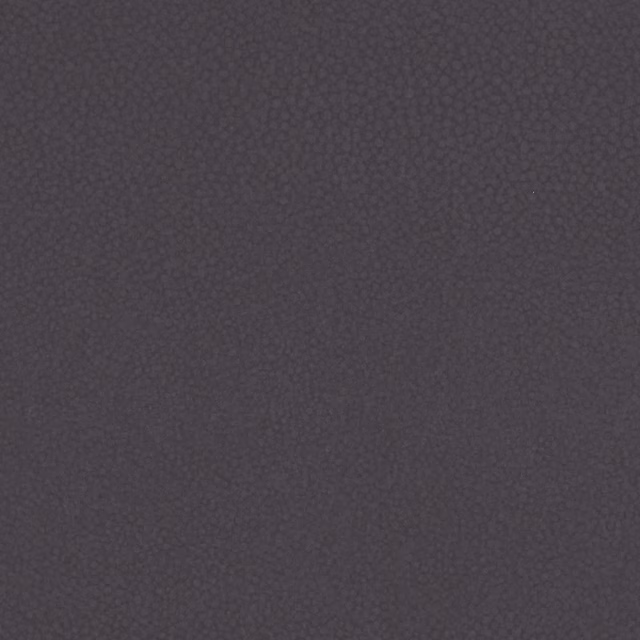 Dark charcoal-grey Shagreen texture with a fine, irregular pebbled surface