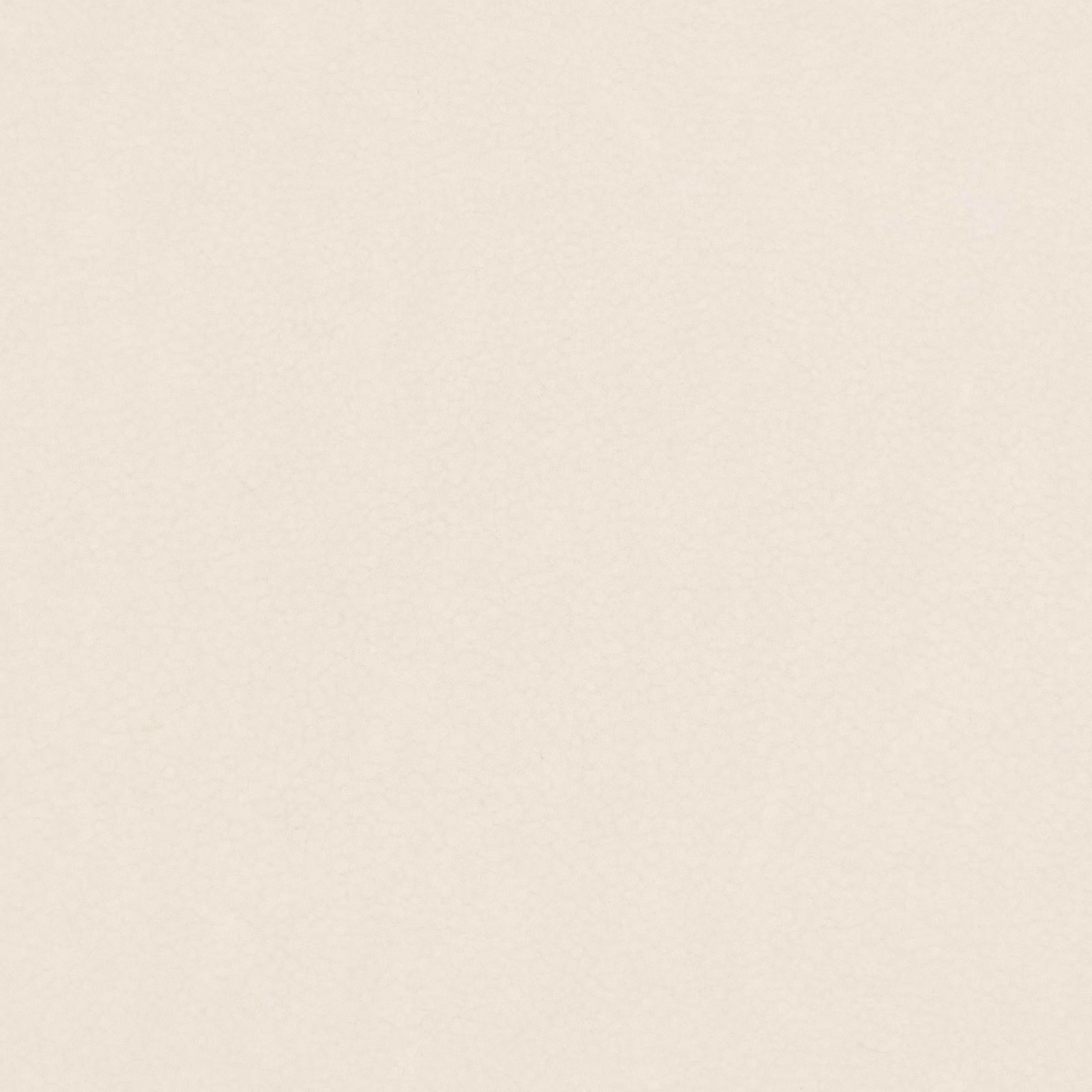 Pale ivory Shagreen textile with a quiet, fine-grained mottled surface