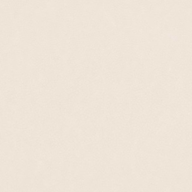 Pale ivory Shagreen textile with a quiet, fine-grained mottled surface