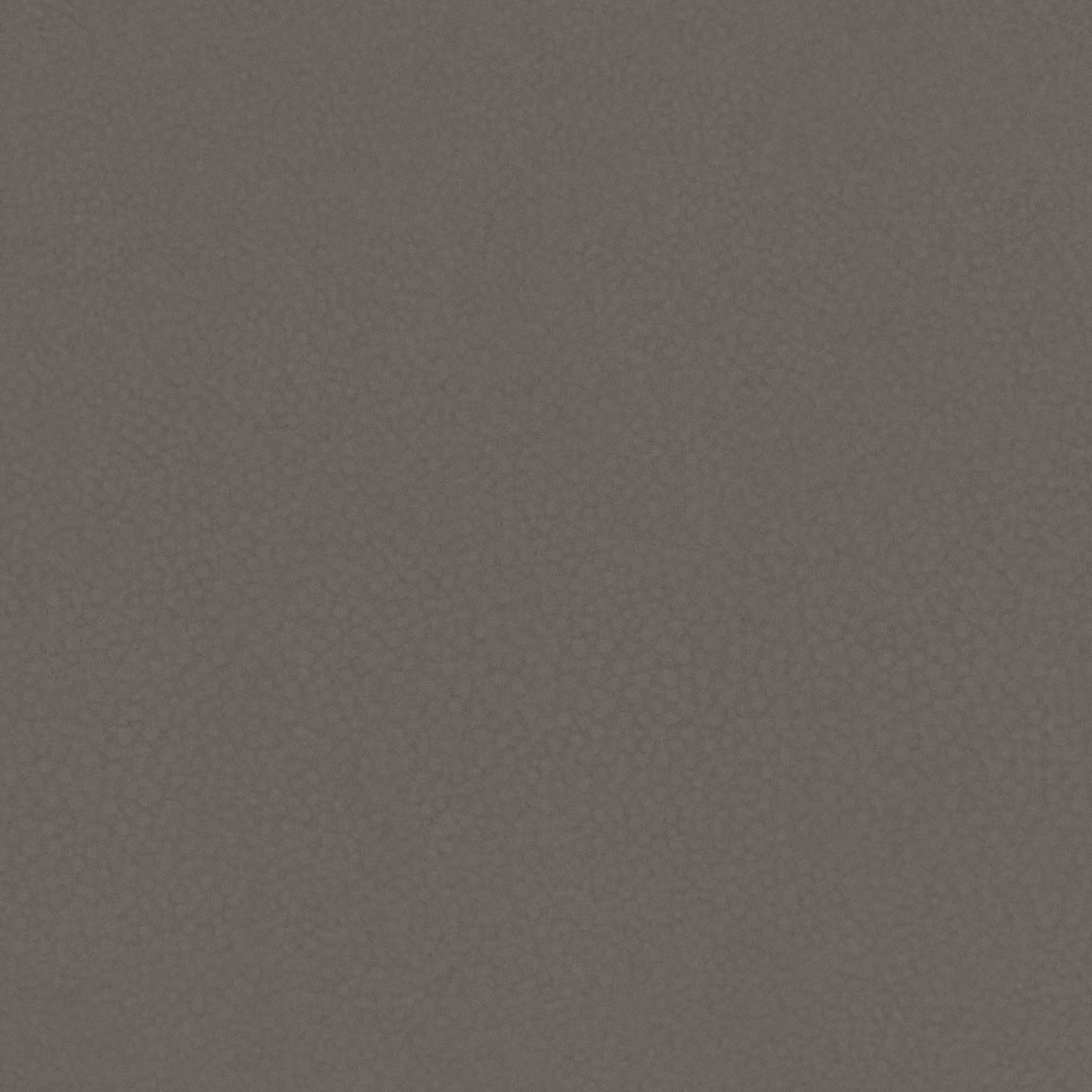 Close view of warm grey shagreen texture with a fine pebbled grain