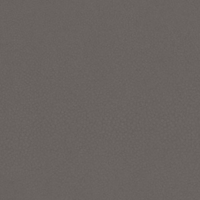 Close view of warm grey shagreen texture with a fine pebbled grain