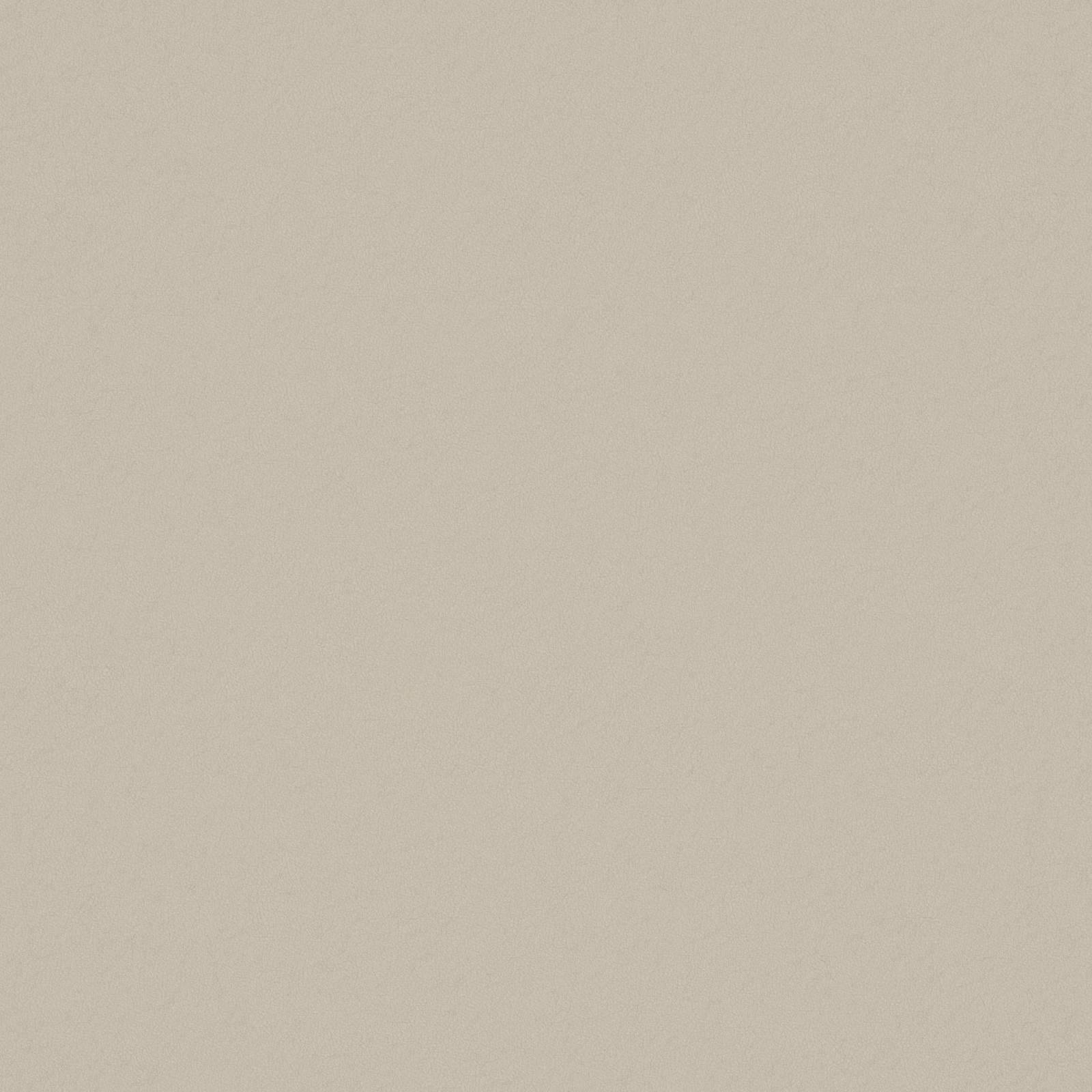 Warm bone-beige plain weave with a fine, softly mottled surface