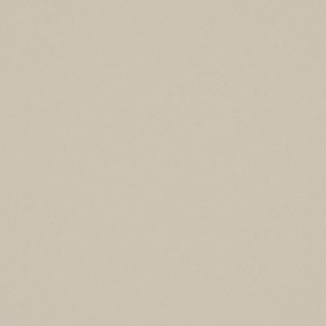 Pale cool grey plain fabric with a fine, softly mottled woven texture