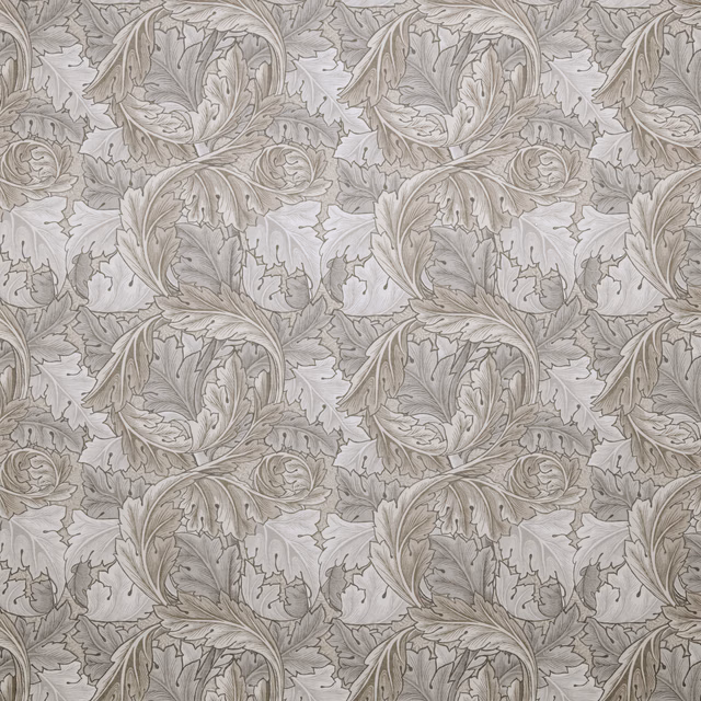 Wmacanthushe fabric