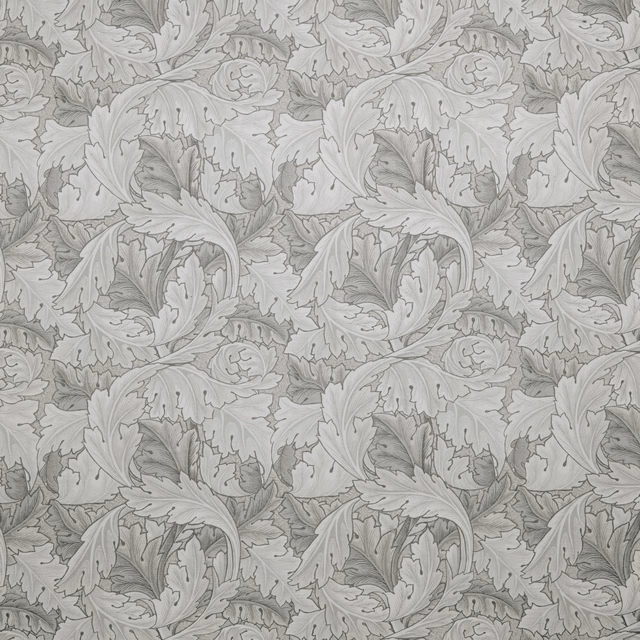 Wmacanthussm fabric