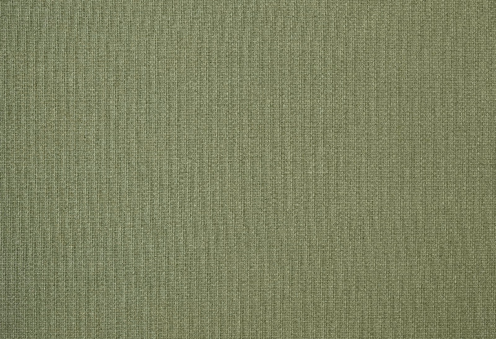 Wmreedli fabric