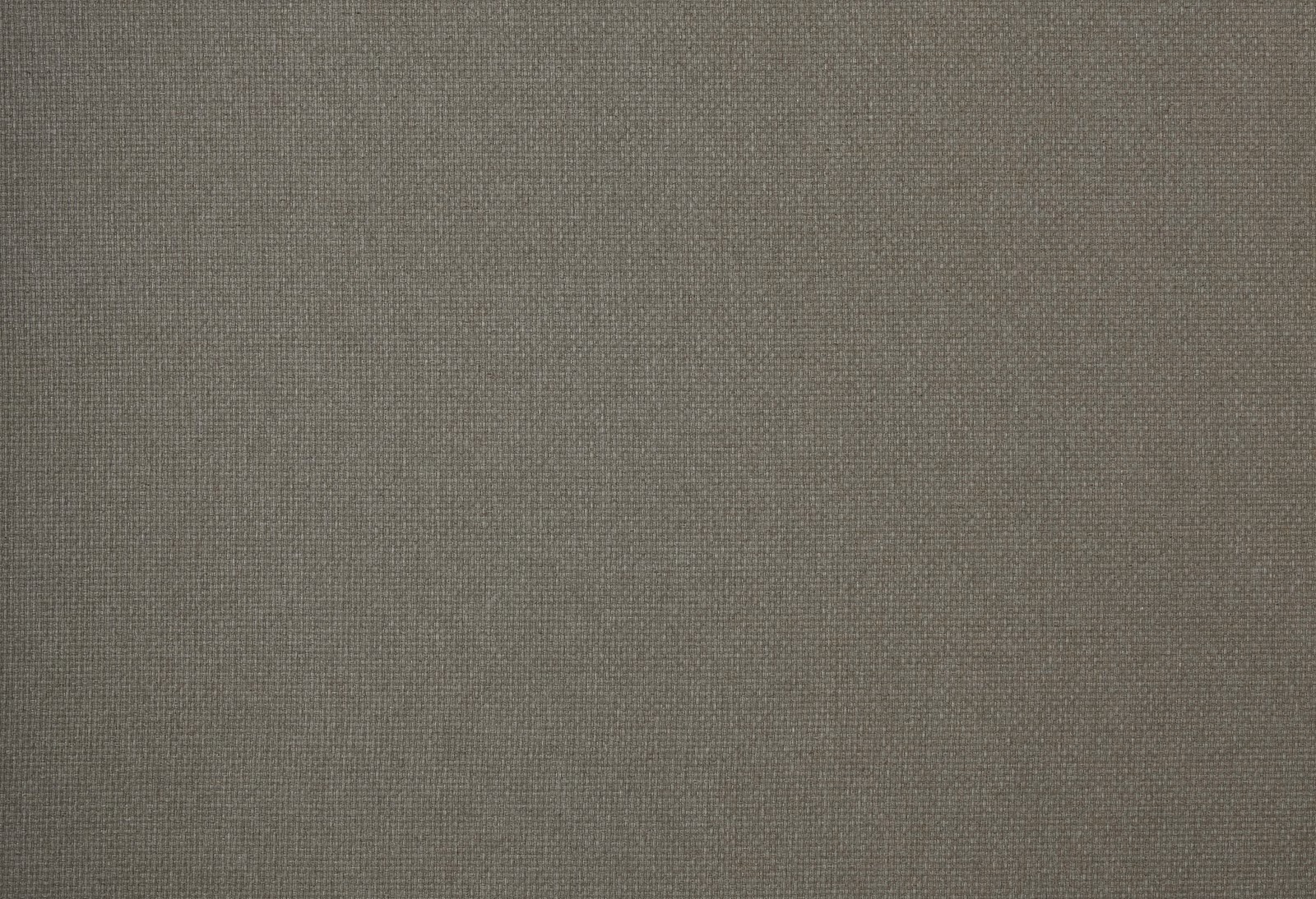 Wmreedsi fabric