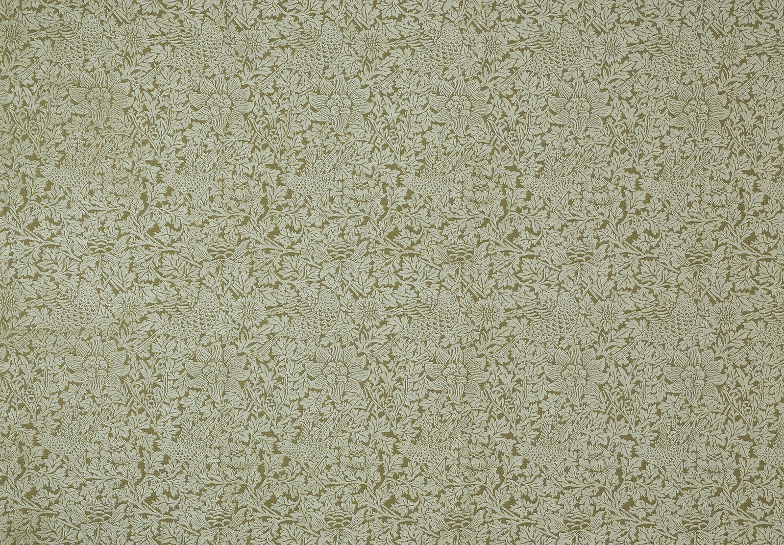 Wmbirdandawvnmo fabric