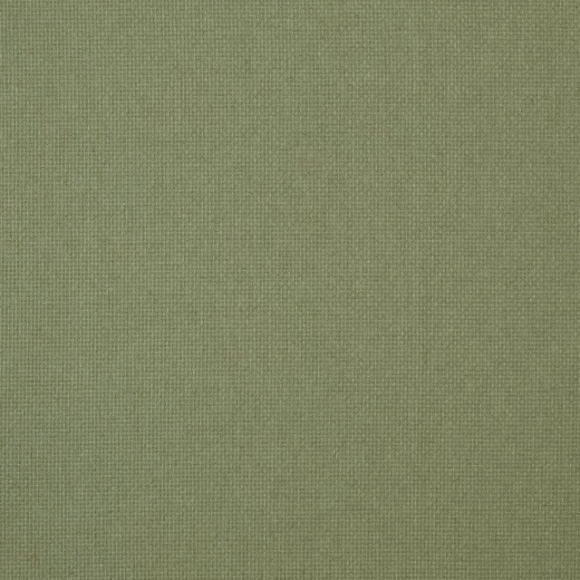 Wmreedli fabric