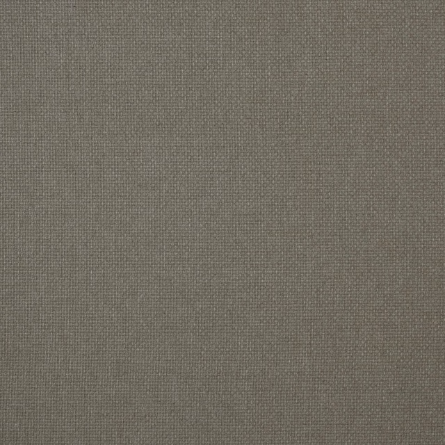 Wmreedsi fabric