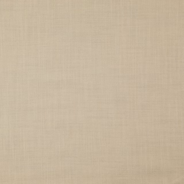Warm beige Baltic fabric with a fine woven crosshatch texture