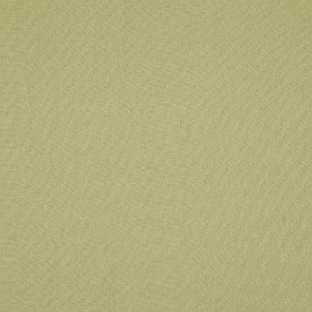 Muted leaf-green plain weave with a softly flecked, finely textured surface