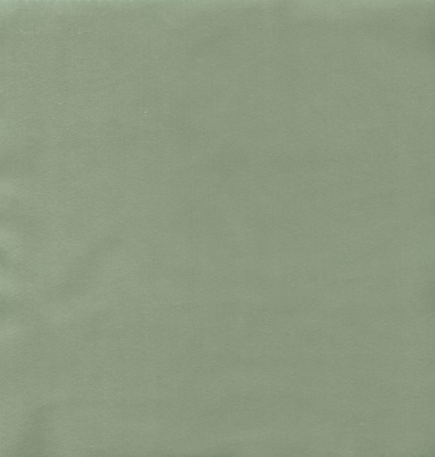 Muted sage-green plain fabric with a faintly mottled, matte surface