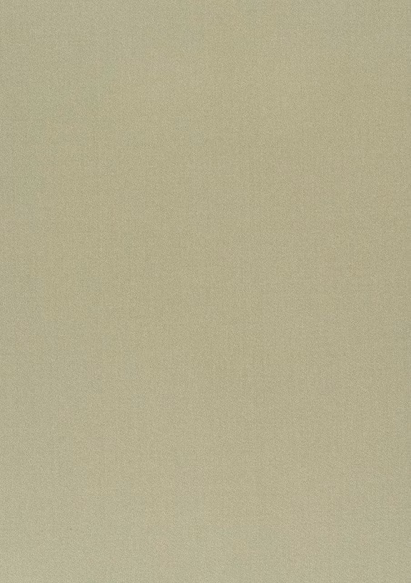 Close-up of pale grey-green fabric with a fine, softly textured plain weave