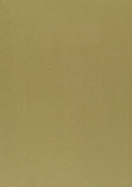 Muted olive Palm fabric with a fine plain weave and softly mottled surface