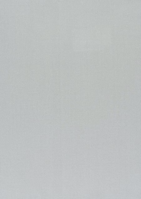 Pale silver-grey swatch with a fine, softly mottled woven texture