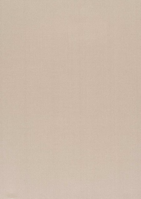 Pale warm beige Crystal fabric with a fine plain weave and subtly textured surface