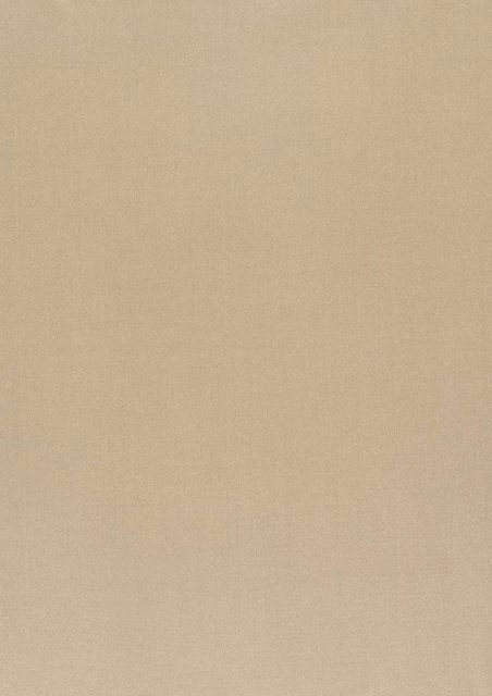 Warm putty-beige fabric showing a fine, even woven texture in close-up