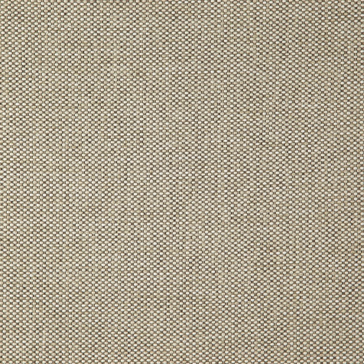 Close-up of warm latte taupe fabric with a dense small-scale flecked weave