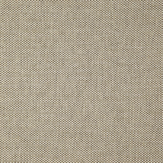 Close-up of warm latte taupe fabric with a dense small-scale flecked weave