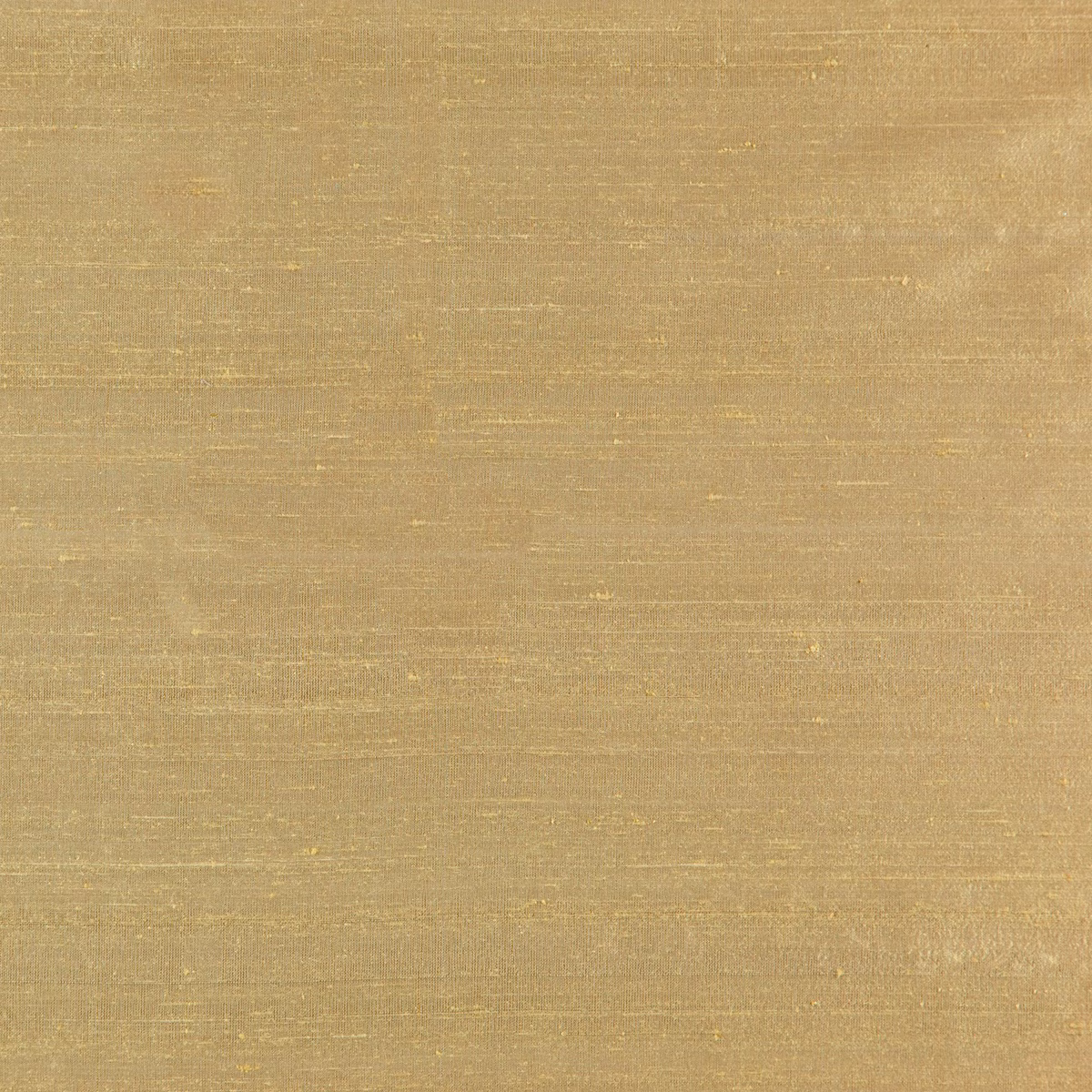 Warm toffee-gold silk with fine horizontal slubbing and subtle reflective texture