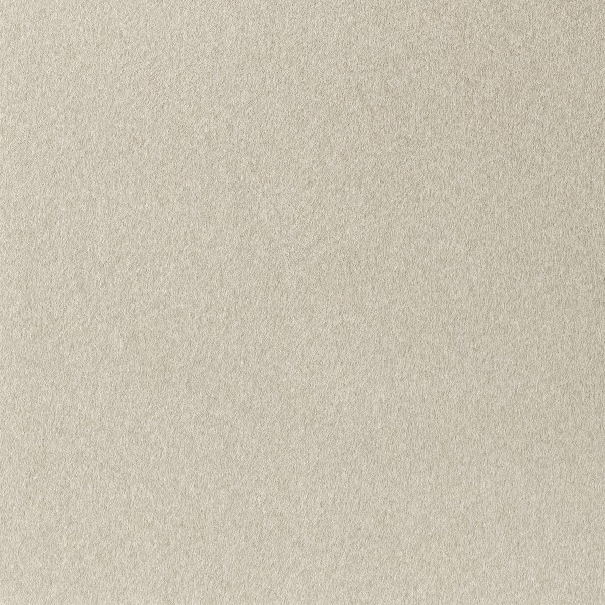 Close-up of Wemyss Lush 04 Bone in warm mottled bone beige